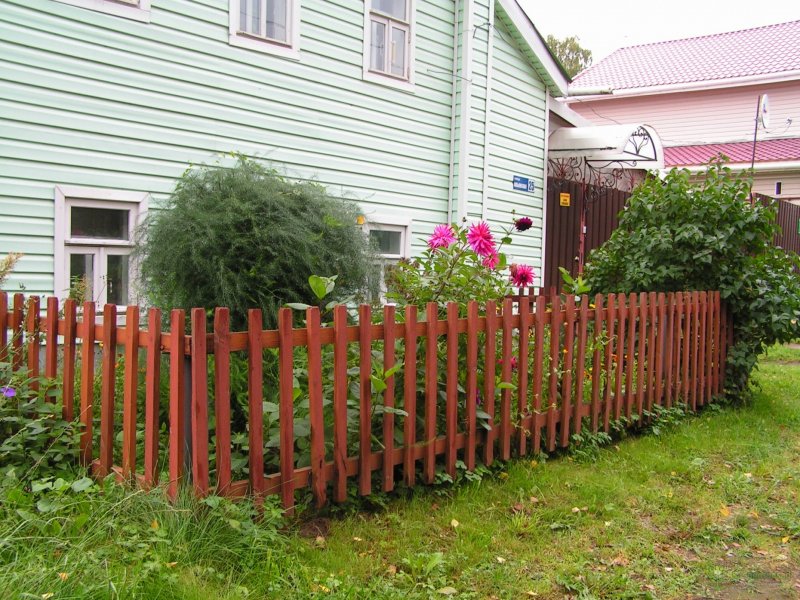 Красивые палисадники перед забором