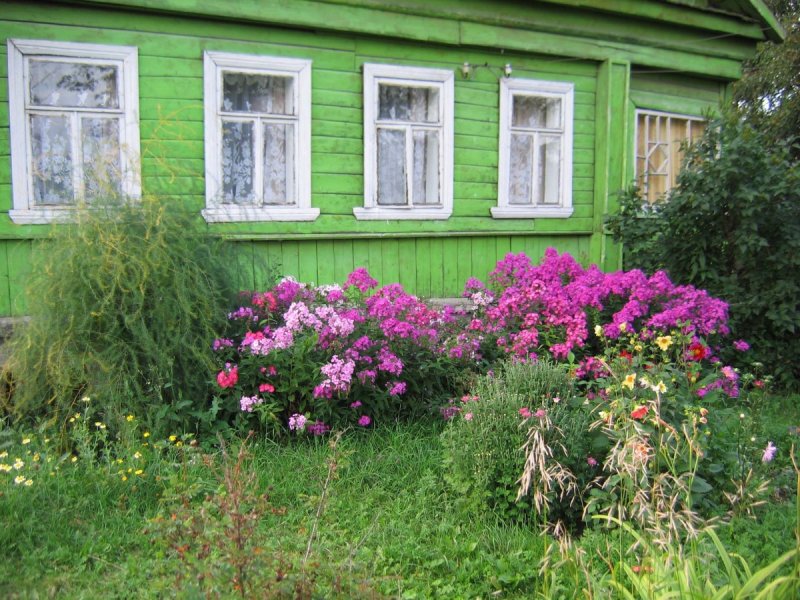 Деревенскийдом полисадник