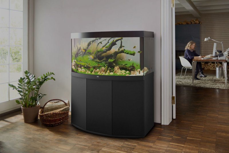 Аквариум Juwel Vision 260 led
