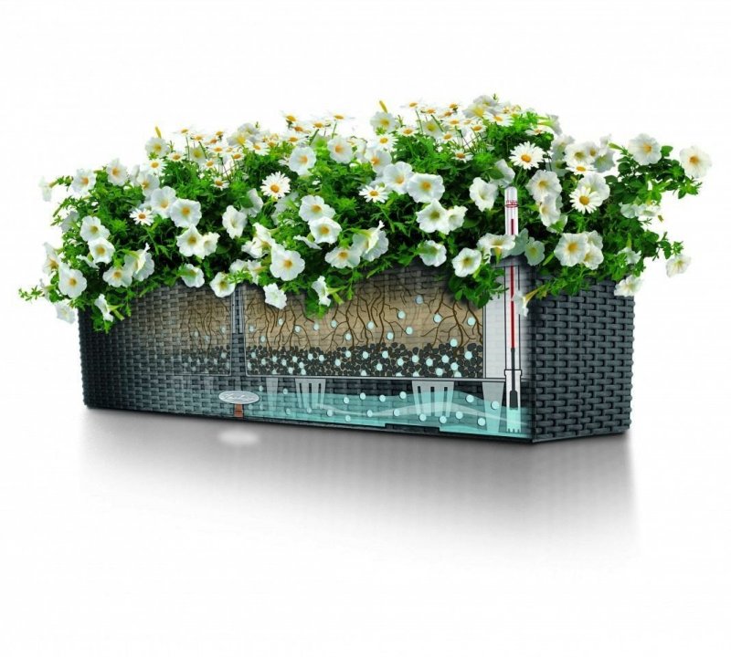 Кашпо Лечуза Balconera Color 50х19