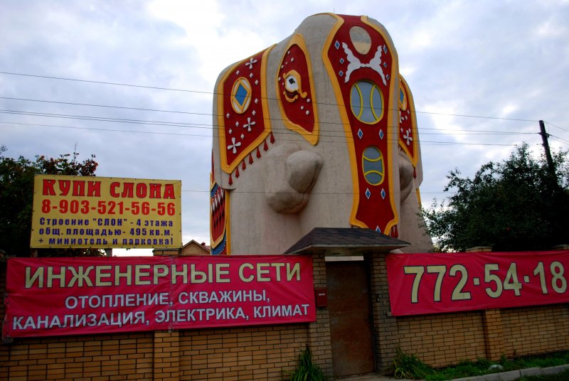 Здание собаки и овцы в новой Зеландии
