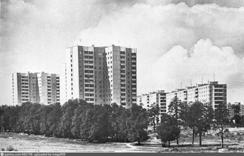 Совхоз красный Маяк в Чертаново