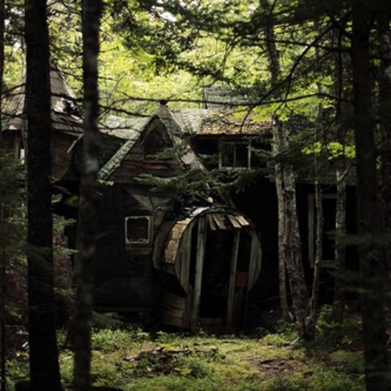 Обитель Лесной ведьмы House