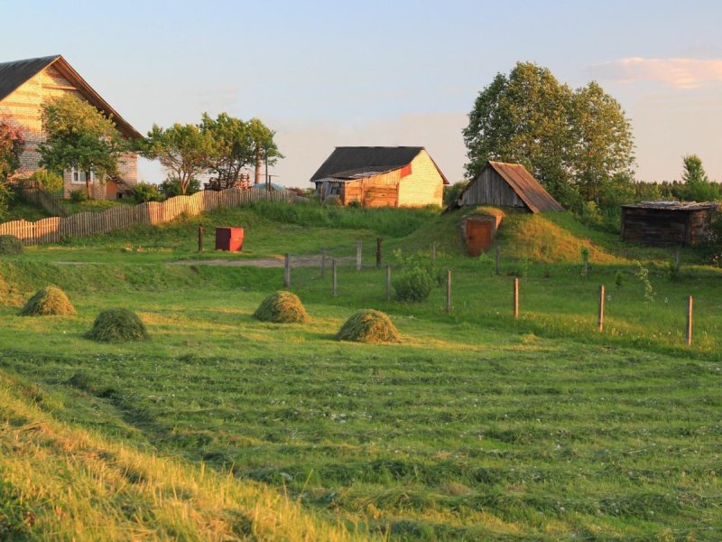 Русская деревня летом