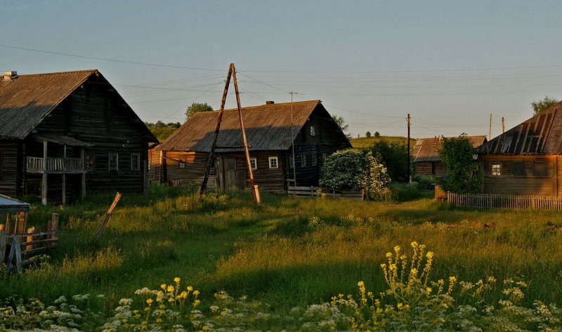 Российская деревня летом