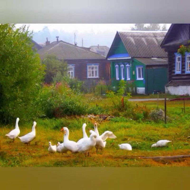 Деревня деревенька