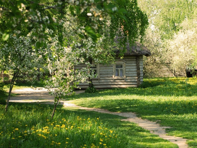 Моя Родина деревня