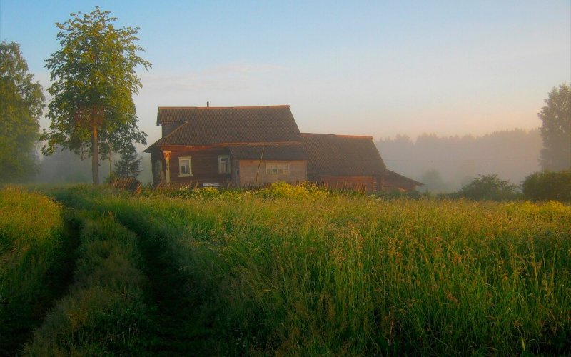 Дачная местность