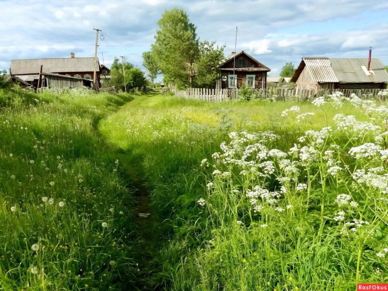 Моя Родина деревня
