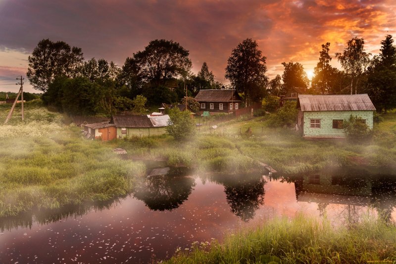 Деревенская природа