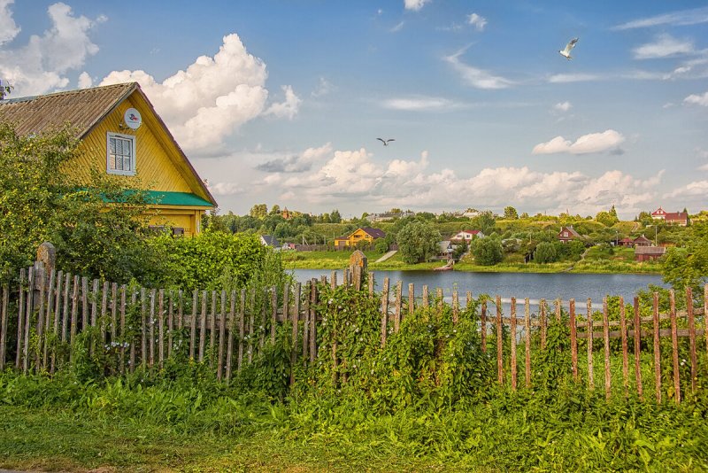 Деревня летом