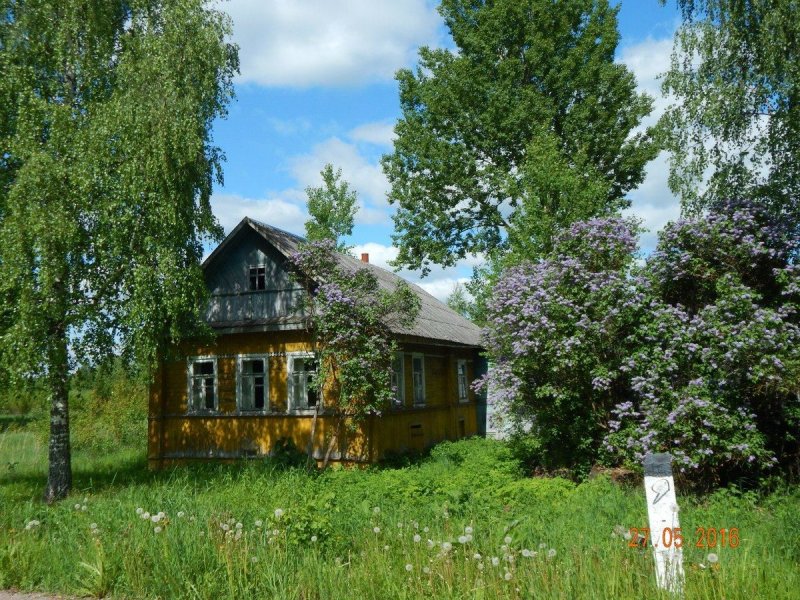 Лето в деревне лучшее