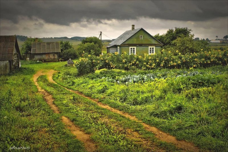 Фотопейзажи белорусских деревень