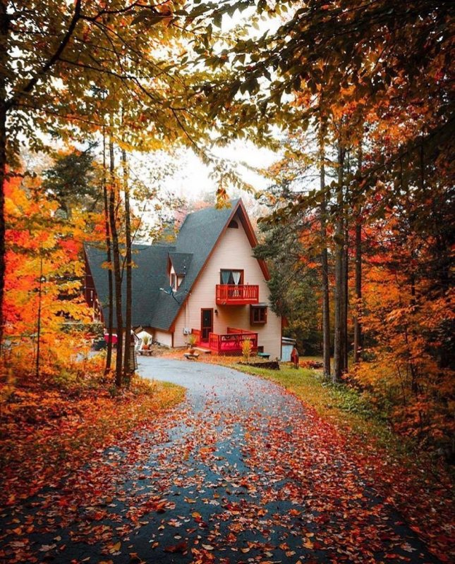 New Hampshire домики
