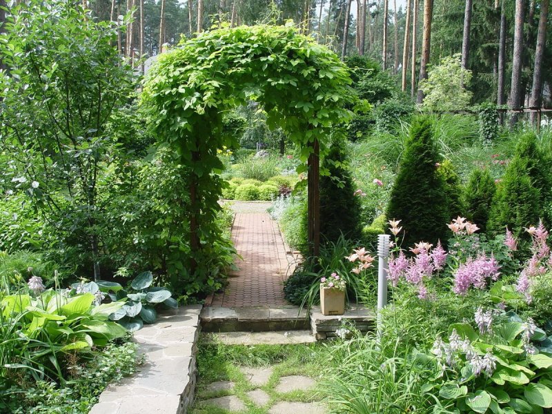Ландшафт дачного участка