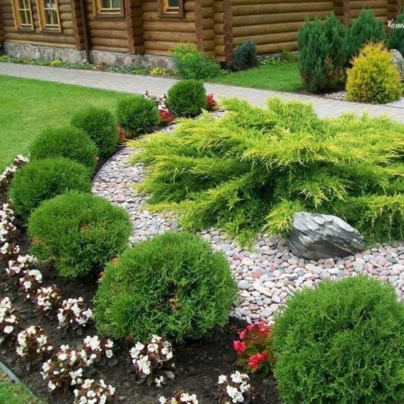 Клумба с хвойниками