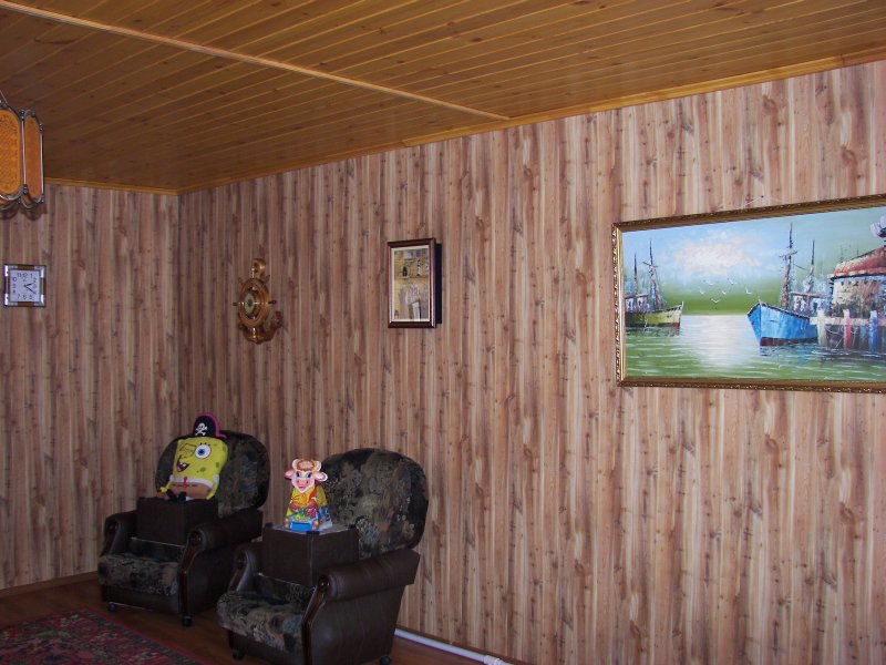 Отделка дачи панелями