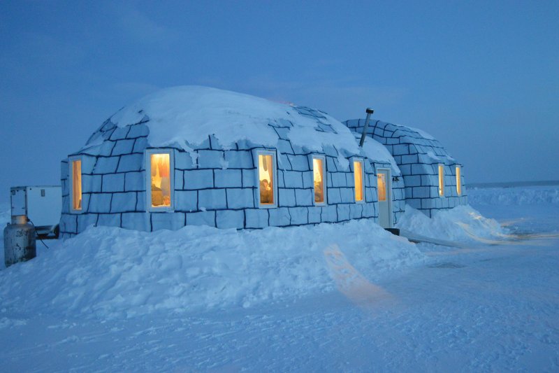 Igloo Igloo