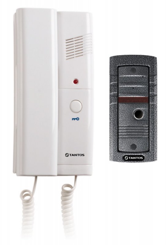 Комплект аудиодомофона TS-203kit
