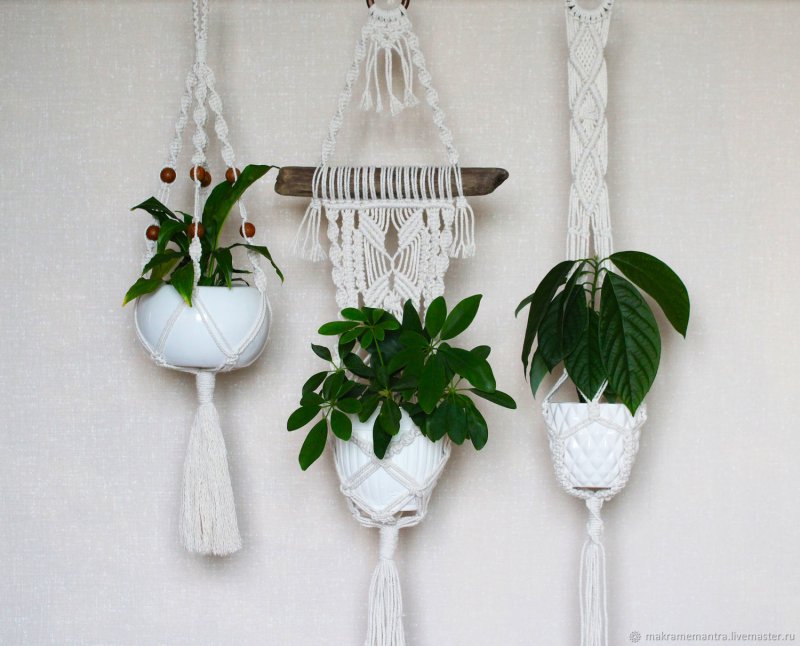 Macrame Plant Hanger