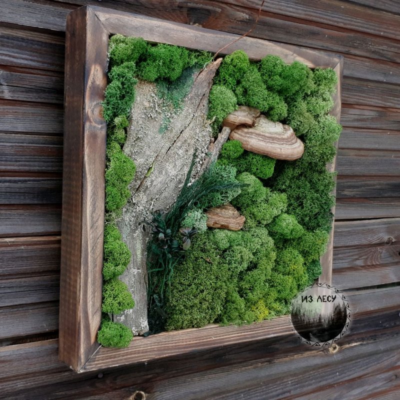 Панно из стабилизированного мха