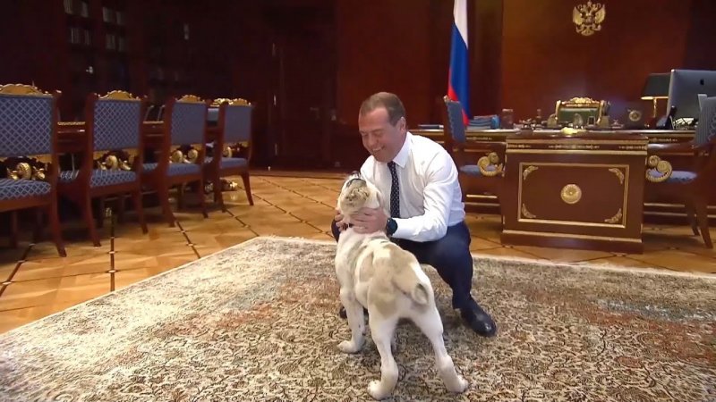 Туркменский алабай с президентом