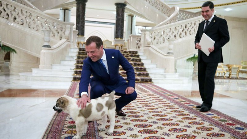 Гурбангулы Бердымухаммедов алабай