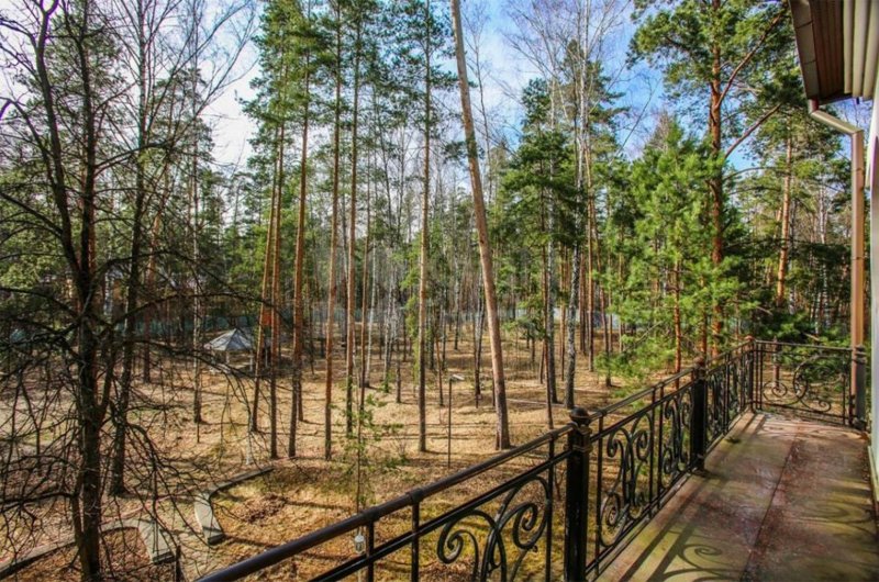 Особняк серебрянный Бор