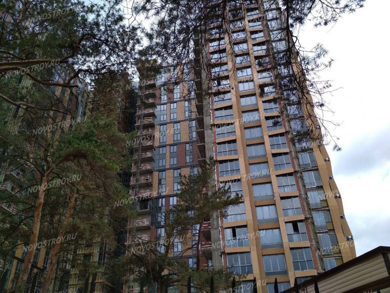 Пятиэтажка в Серебряном Бору