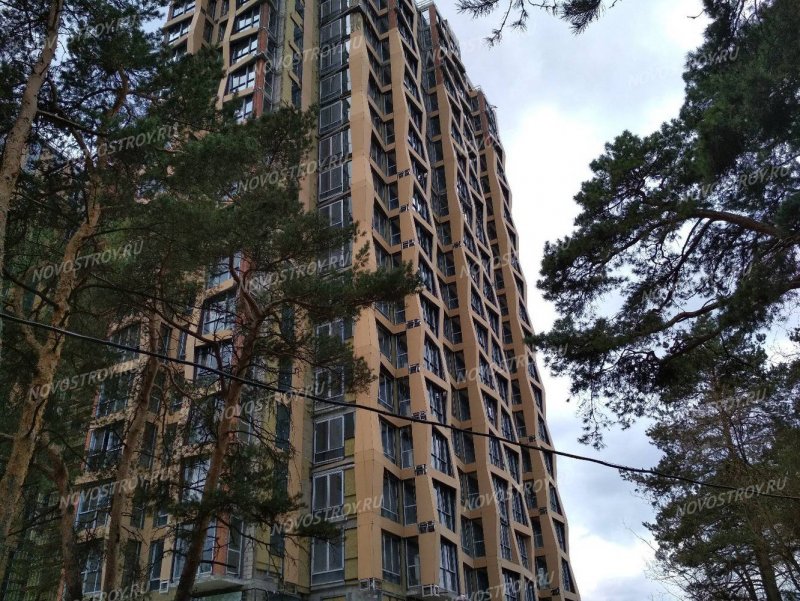 Живописная улица, 21а дом серебряный Бор