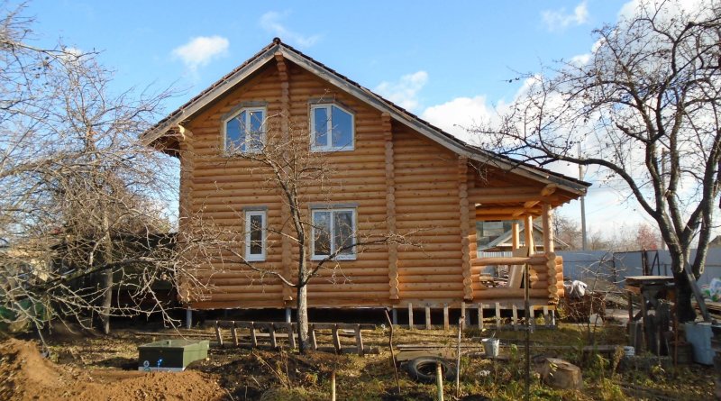 Купино кедр 70