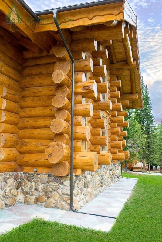 Сибирский кедр элитный сруб