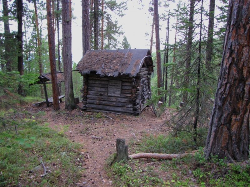 Лесные заимки в тайге