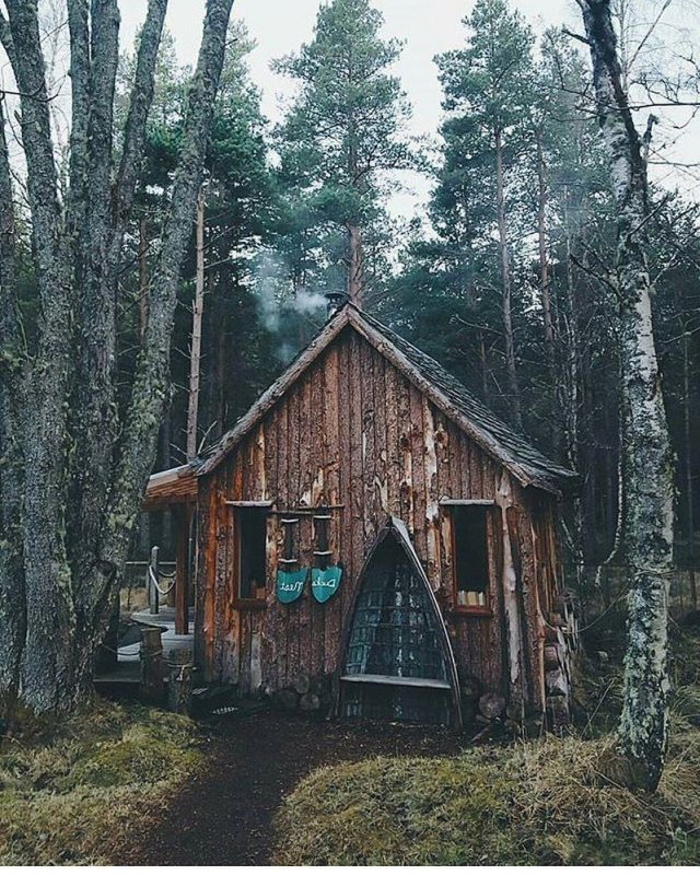 Охотничья Хижина в лесу