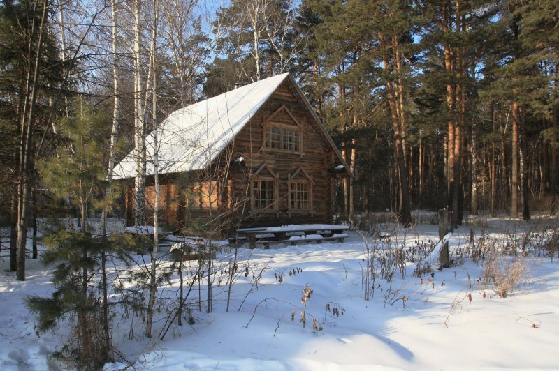 Дом егеря в лесу