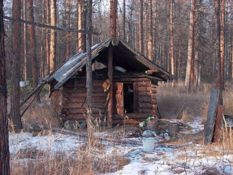 Избы в тайге зимовье