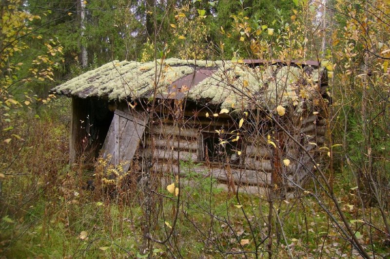 Охотничьи домики в Чернобыле