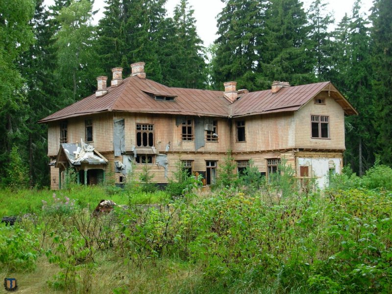 Карл август Фрейндлих розы