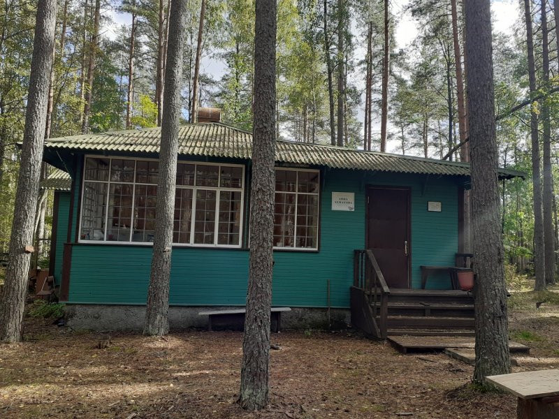 Алиса Фрейндлих ноги