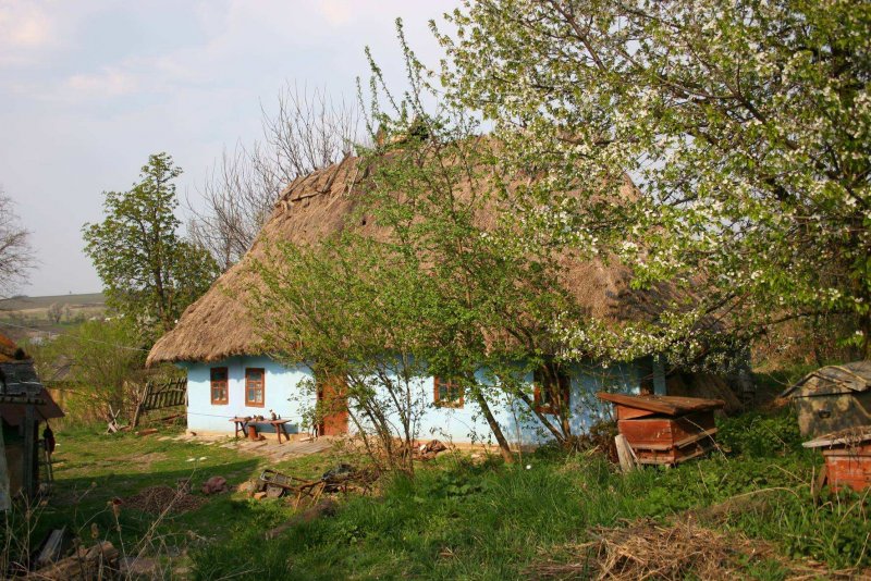 Мазанка в деревне