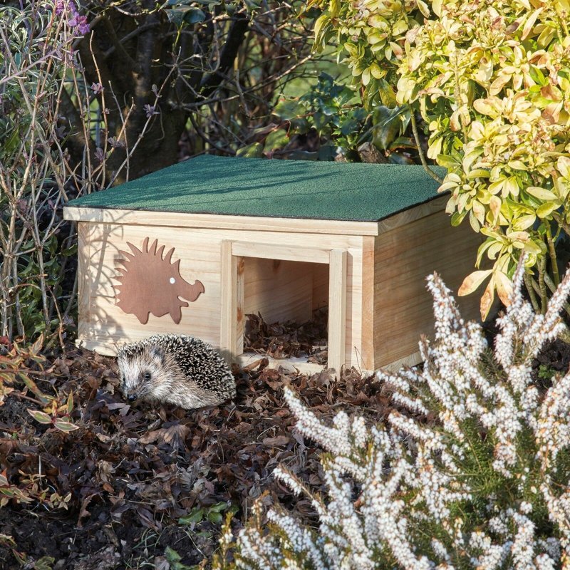 Shelter at Home