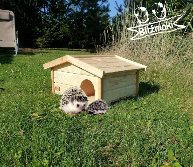 Вольер для ежа