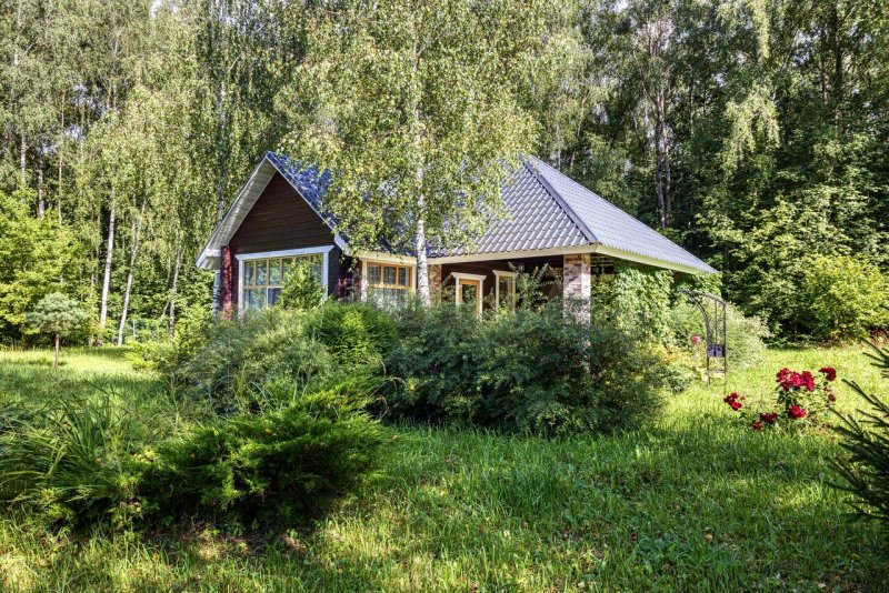 Маленький домик на природе