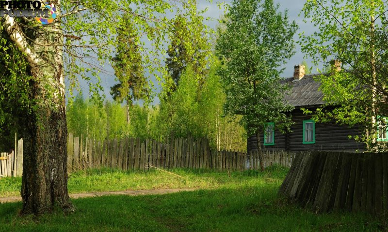 Дача на опушке леса