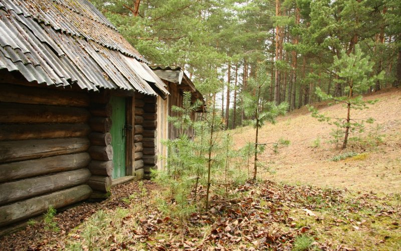 Старый домик лесника
