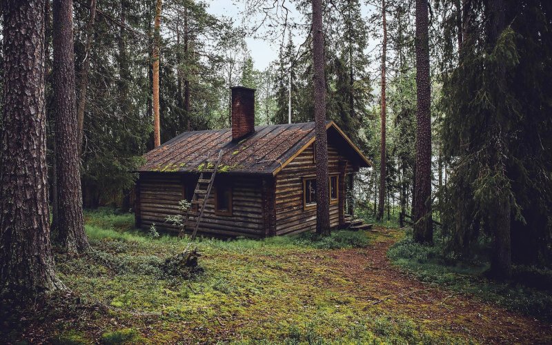 АРХИWOOD Honka
