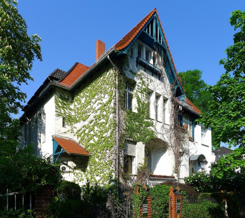 Плющ в Германии