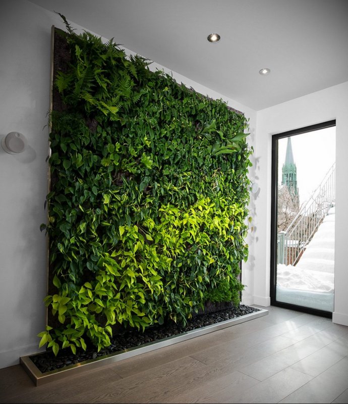 Green Sun фитостены