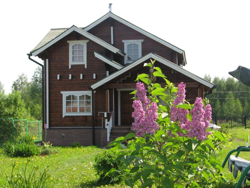 Палисадник с сиренью