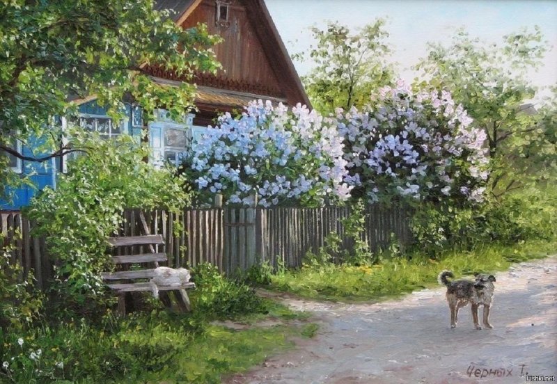Сирень пятиэтажка